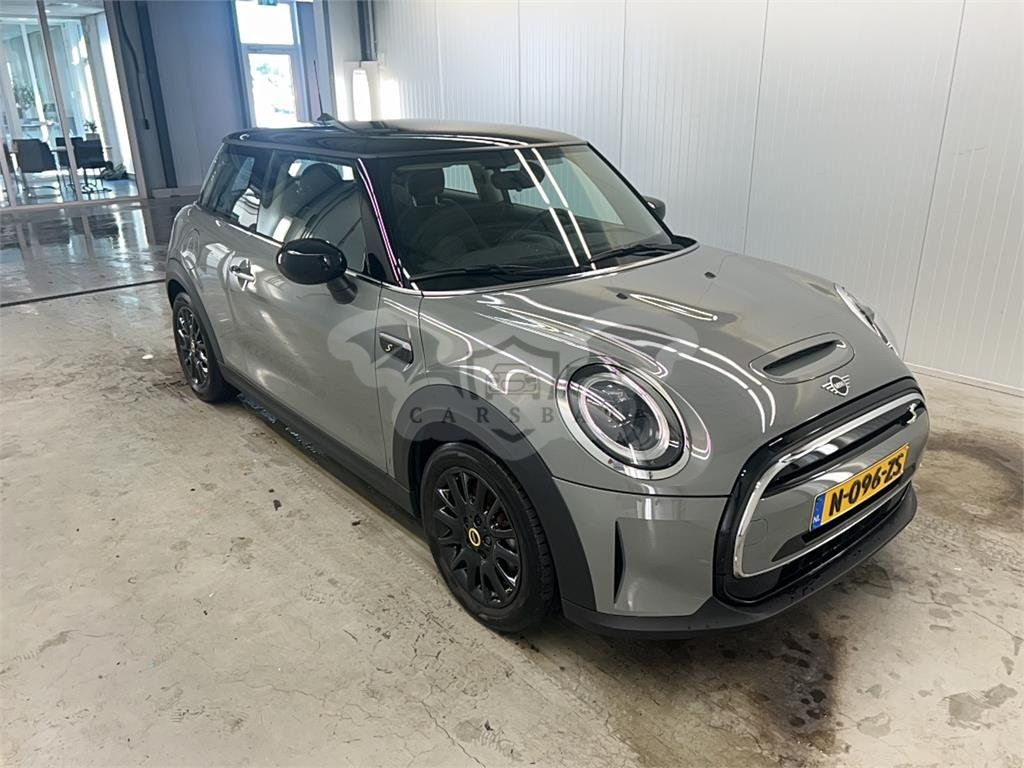 Mini Electric 2022