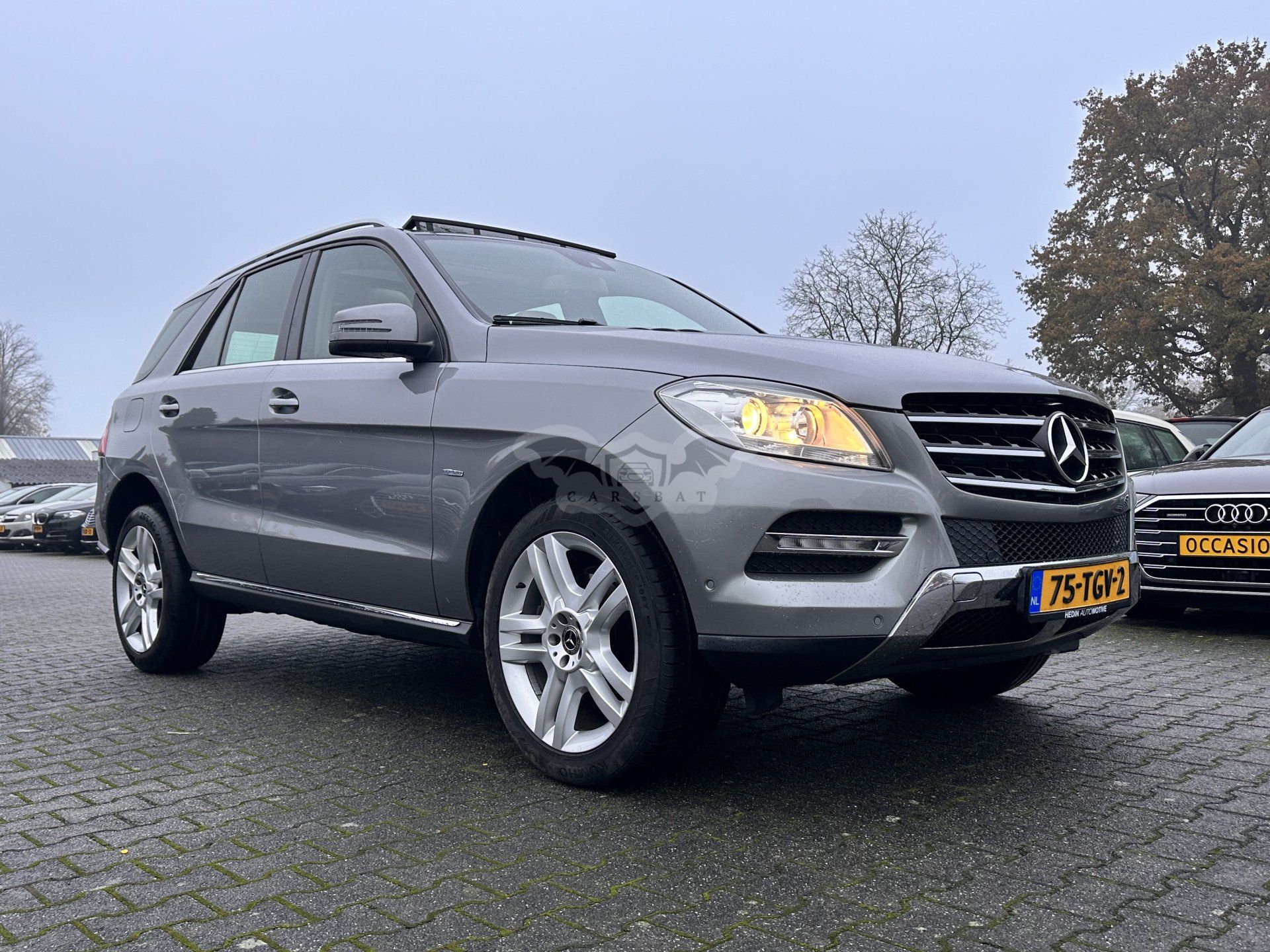Mercedes-Benz ML 250 Edition 1 2012