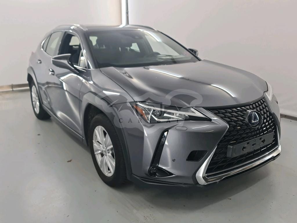 Lexus UX 250h Business 2019