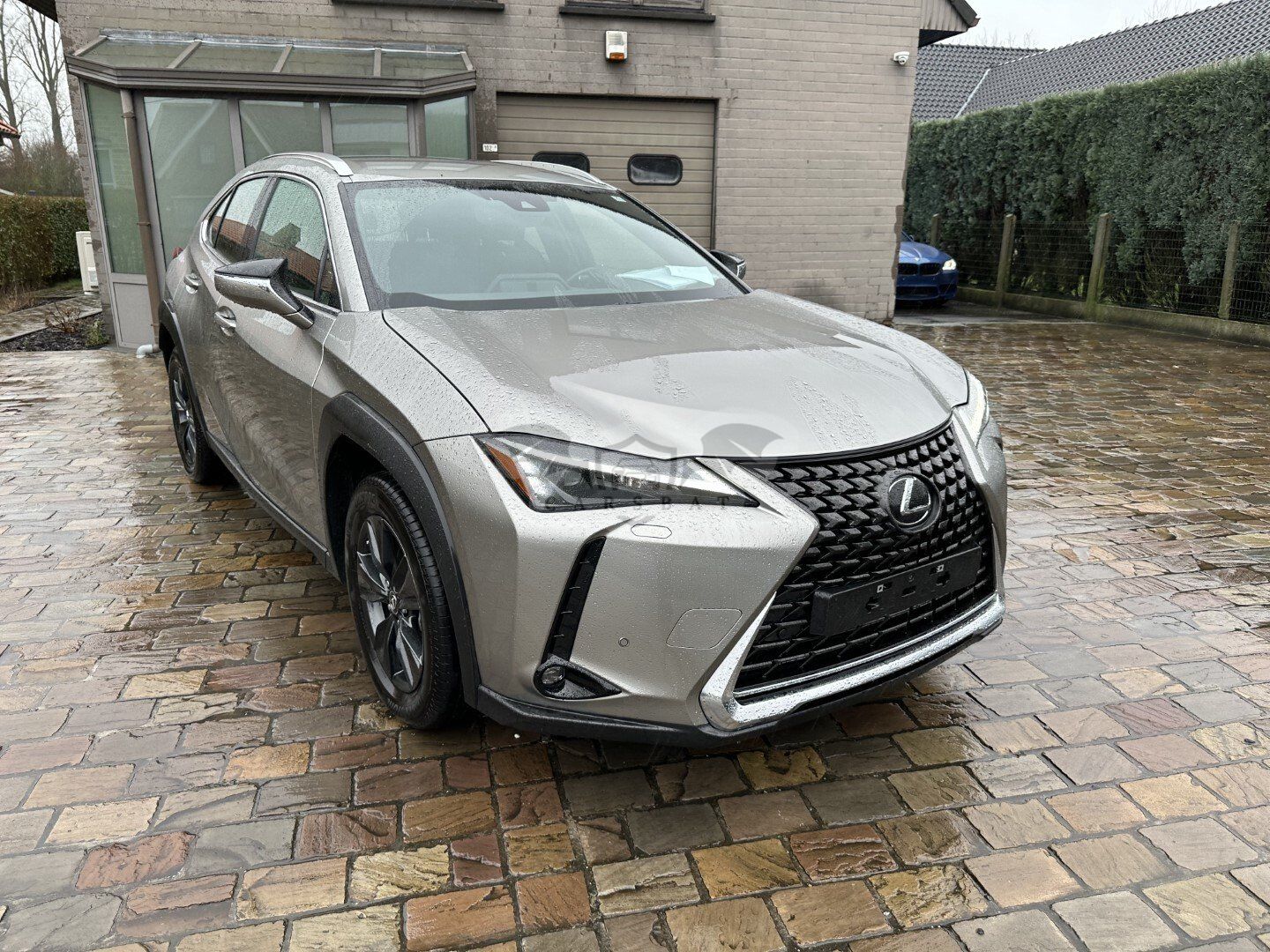 Lexus UX 250h 2023
