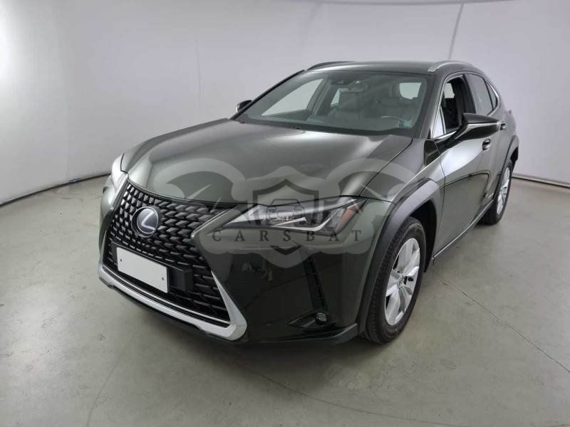 Lexus UX 250h Business 2019