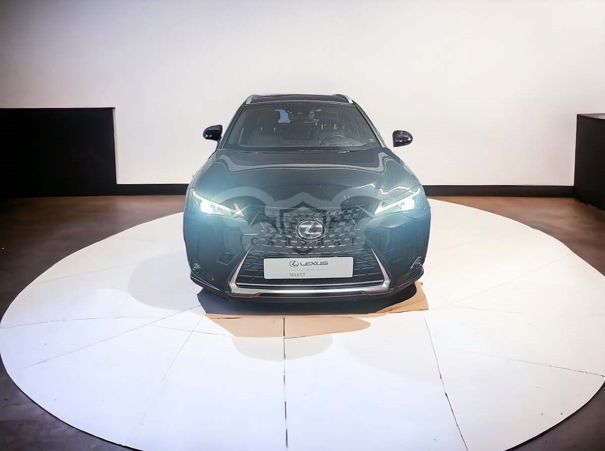 Lexus UX 250h Business 2020