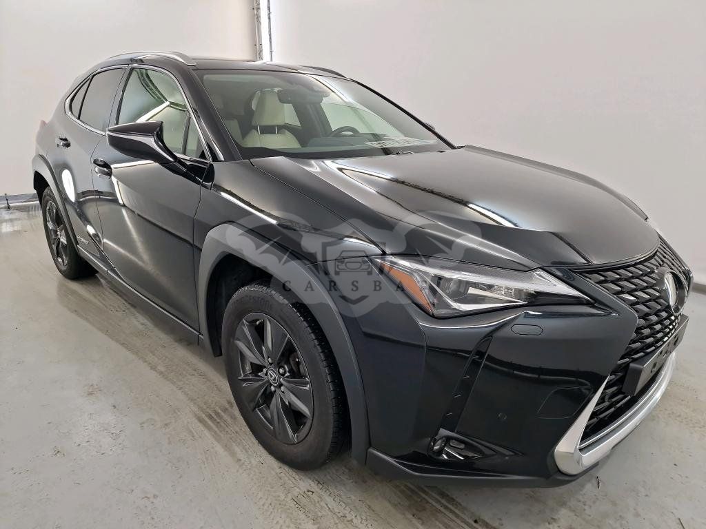Lexus UX 250h Business 2019