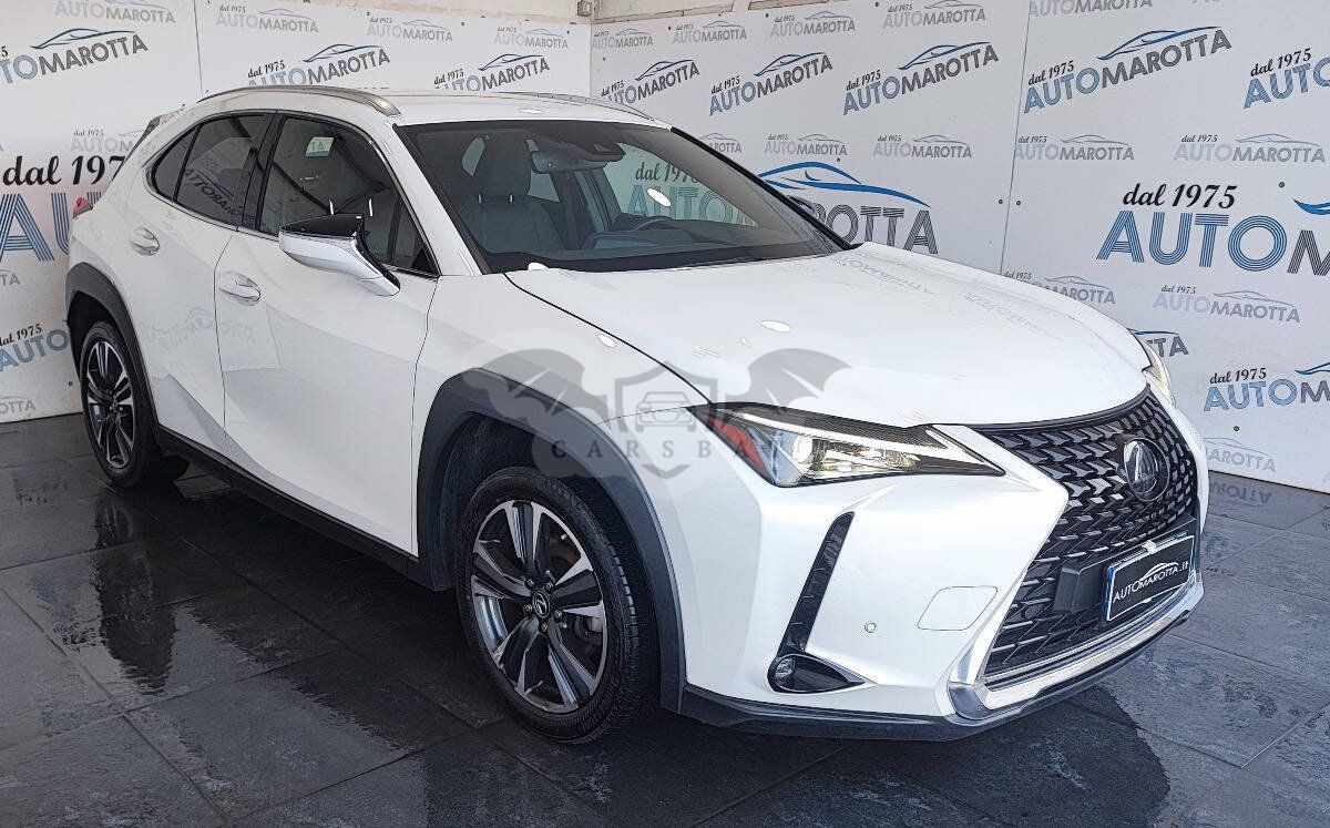Lexus UX 250h 2021