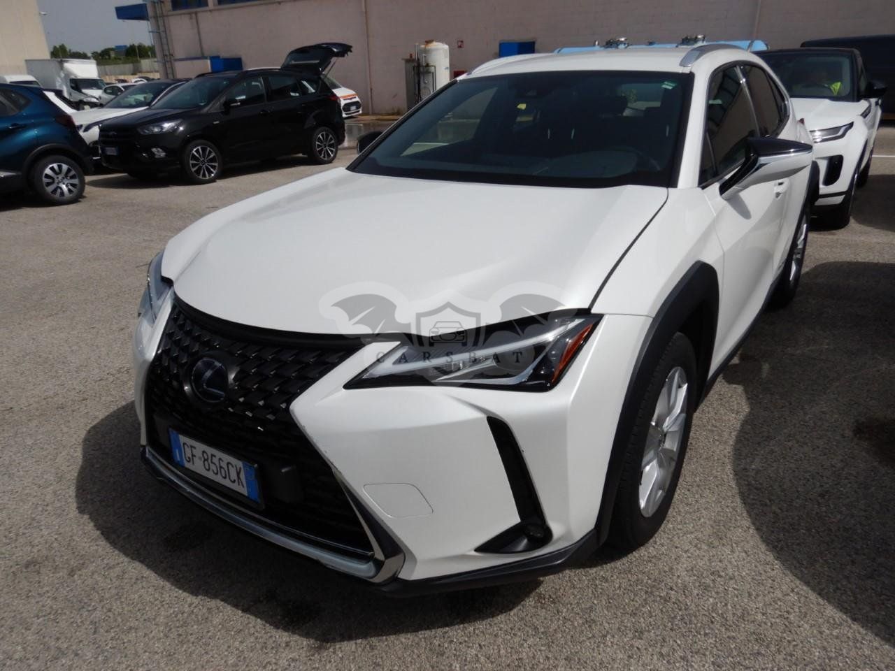 Lexus UX 250h Business 2021