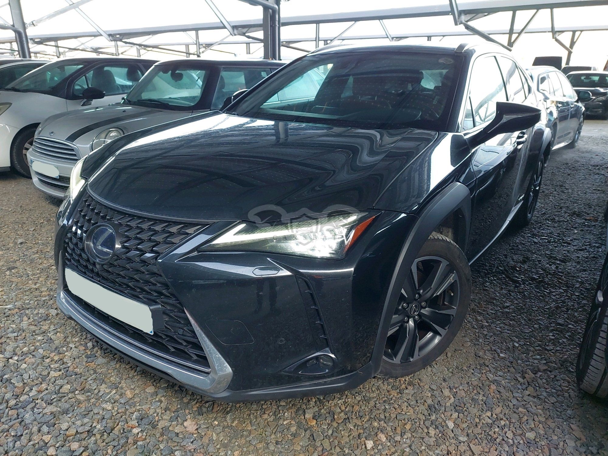 Lexus UX 250h Executive 2019