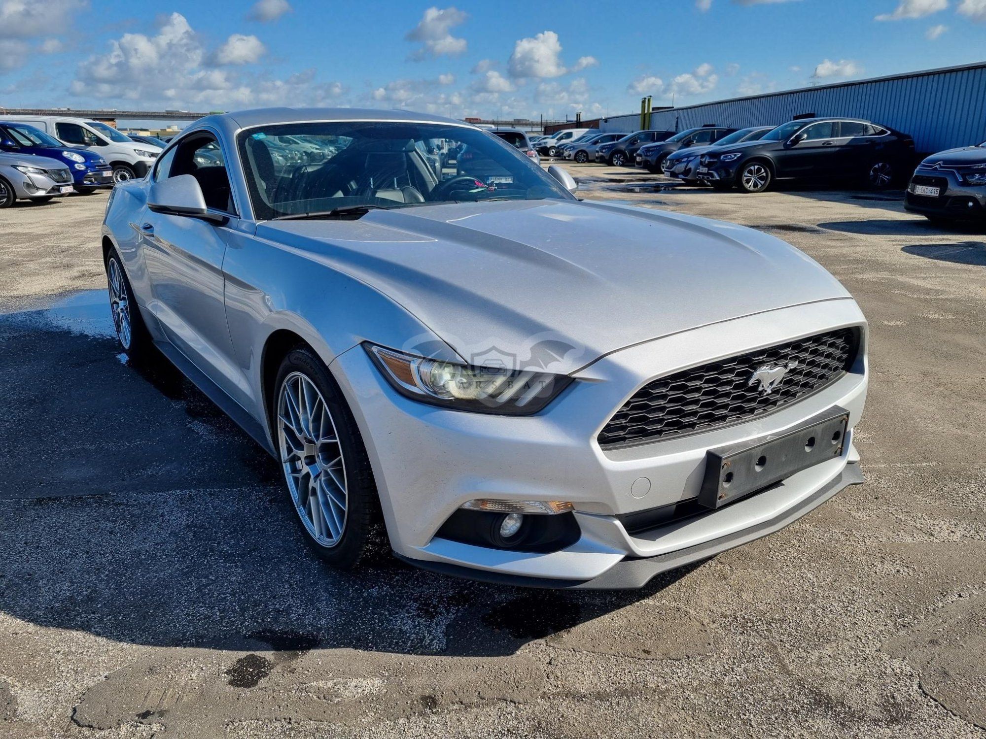Ford Mustang 2.3 EcoBoost 2017