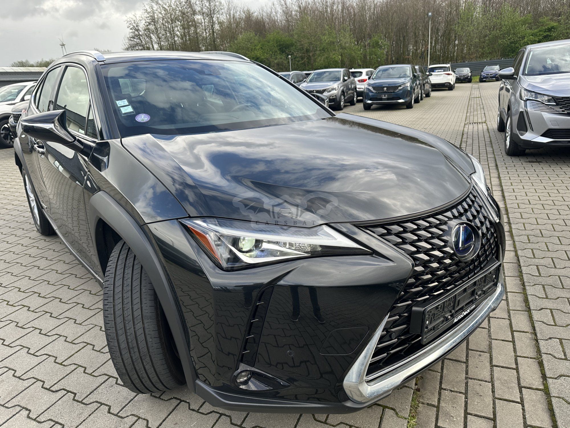 Lexus UX 250h Luxe 2019
