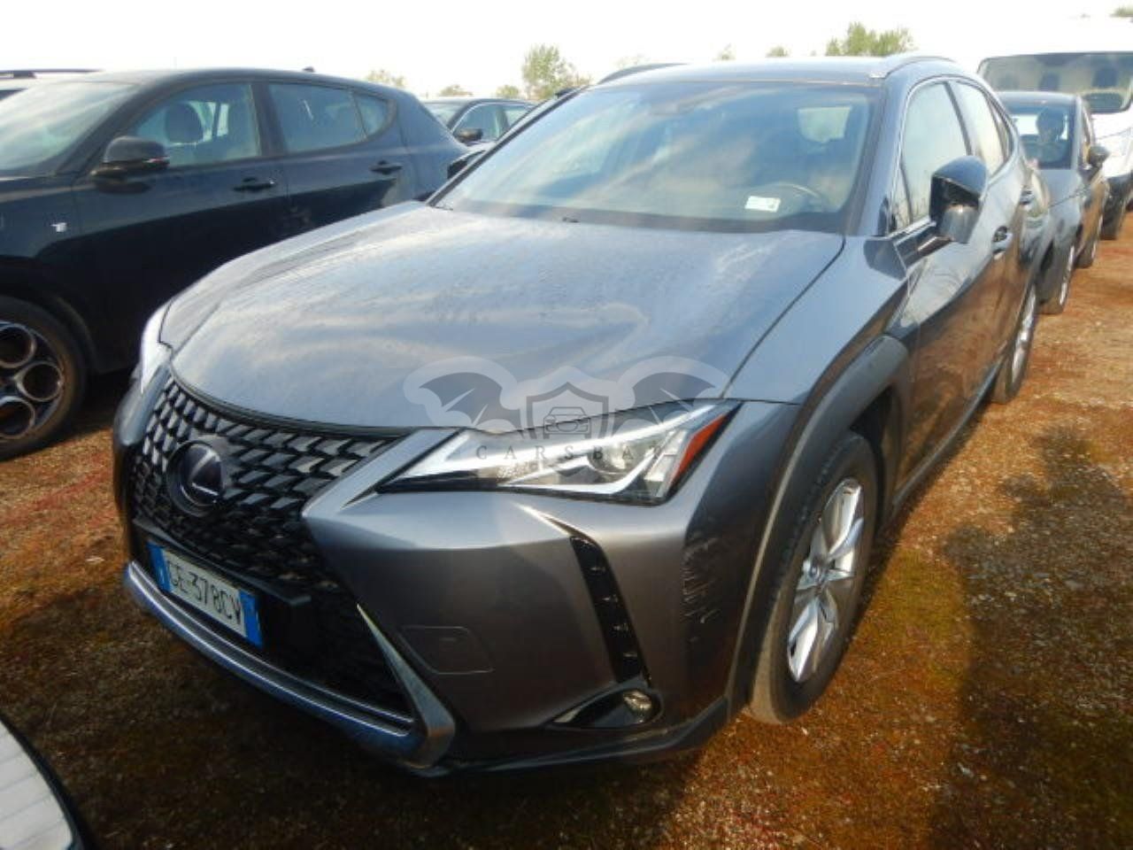 Lexus UX 250h Business 2021