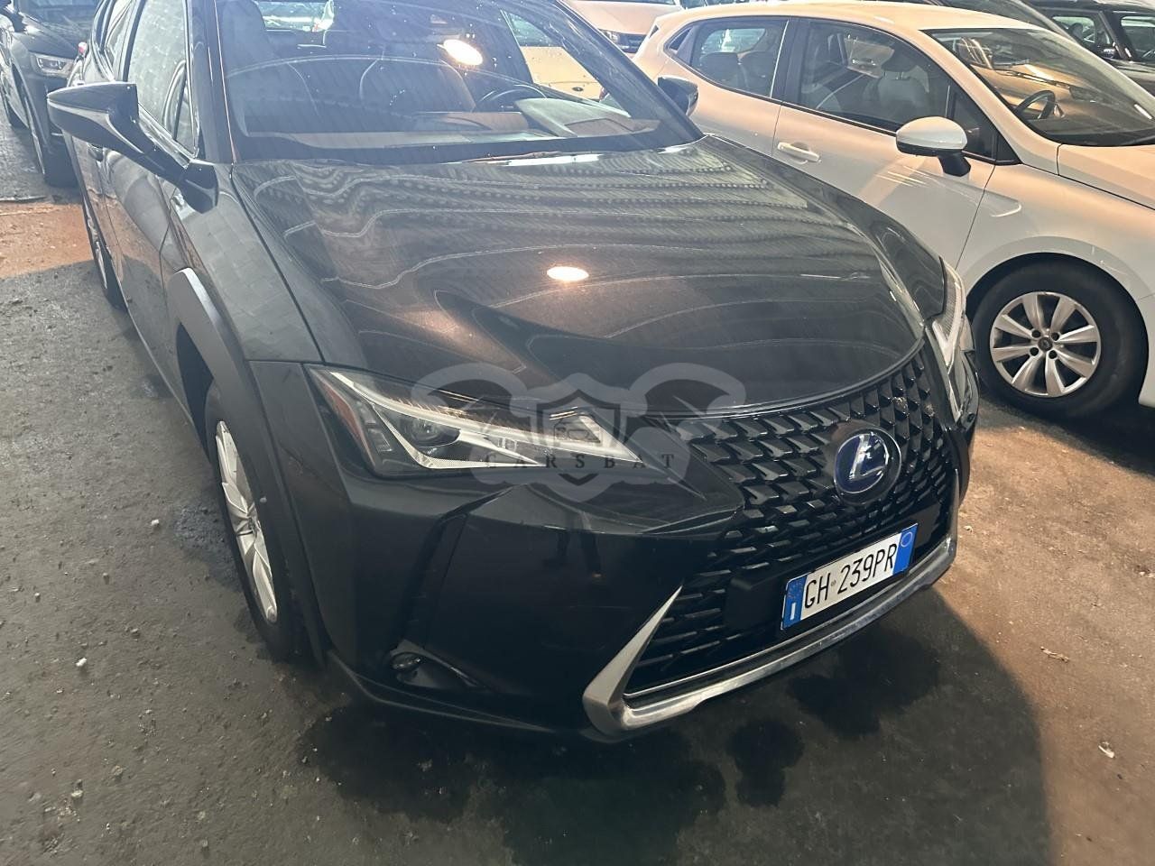 Lexus UX 250h Business 2021