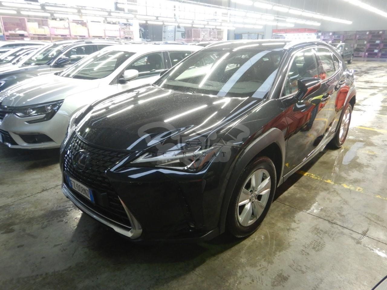 Lexus UX 250h Business 2019