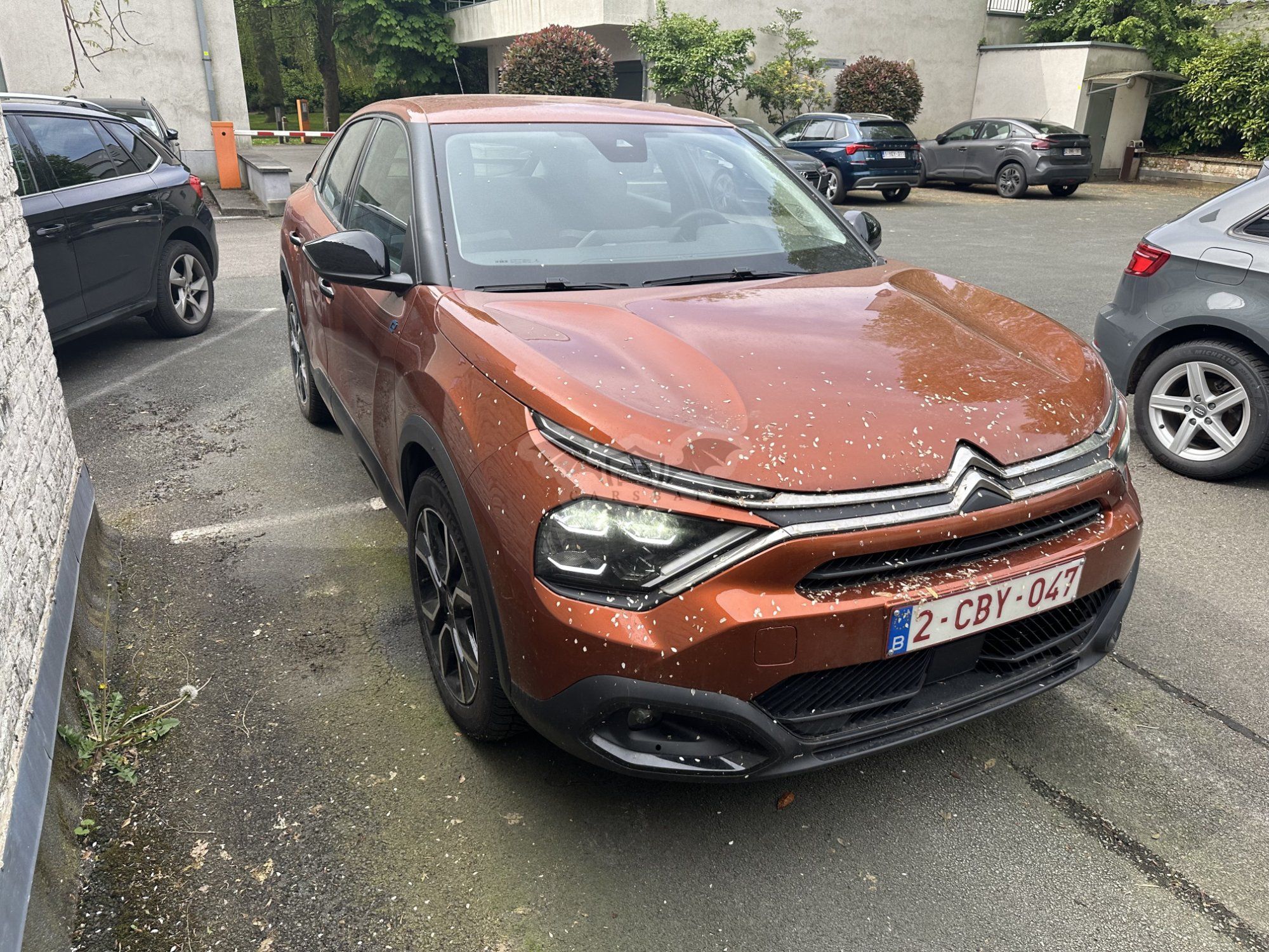 Citroën E-C4 50 kWh Feel 2022