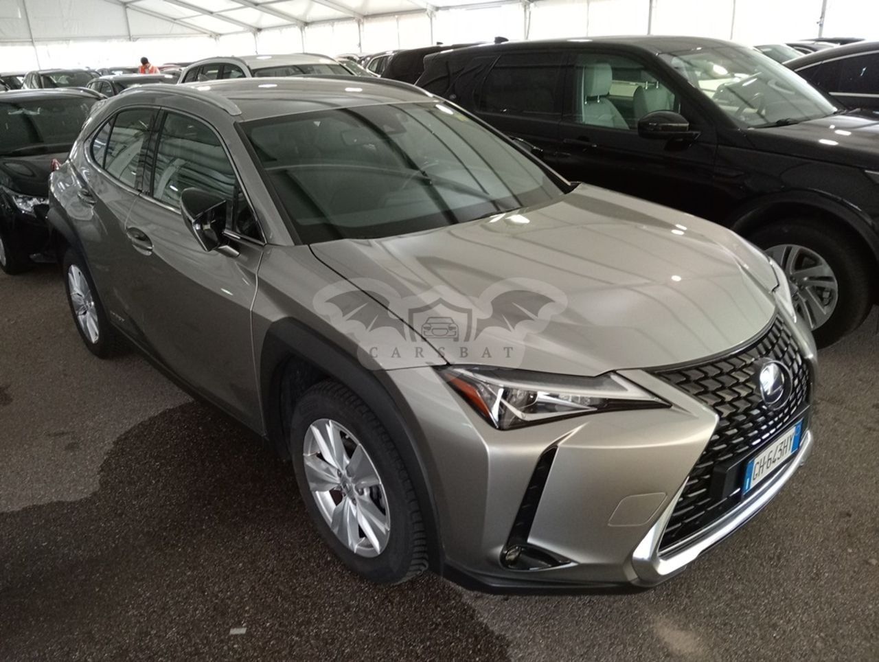 Lexus UX 250h Business 2021