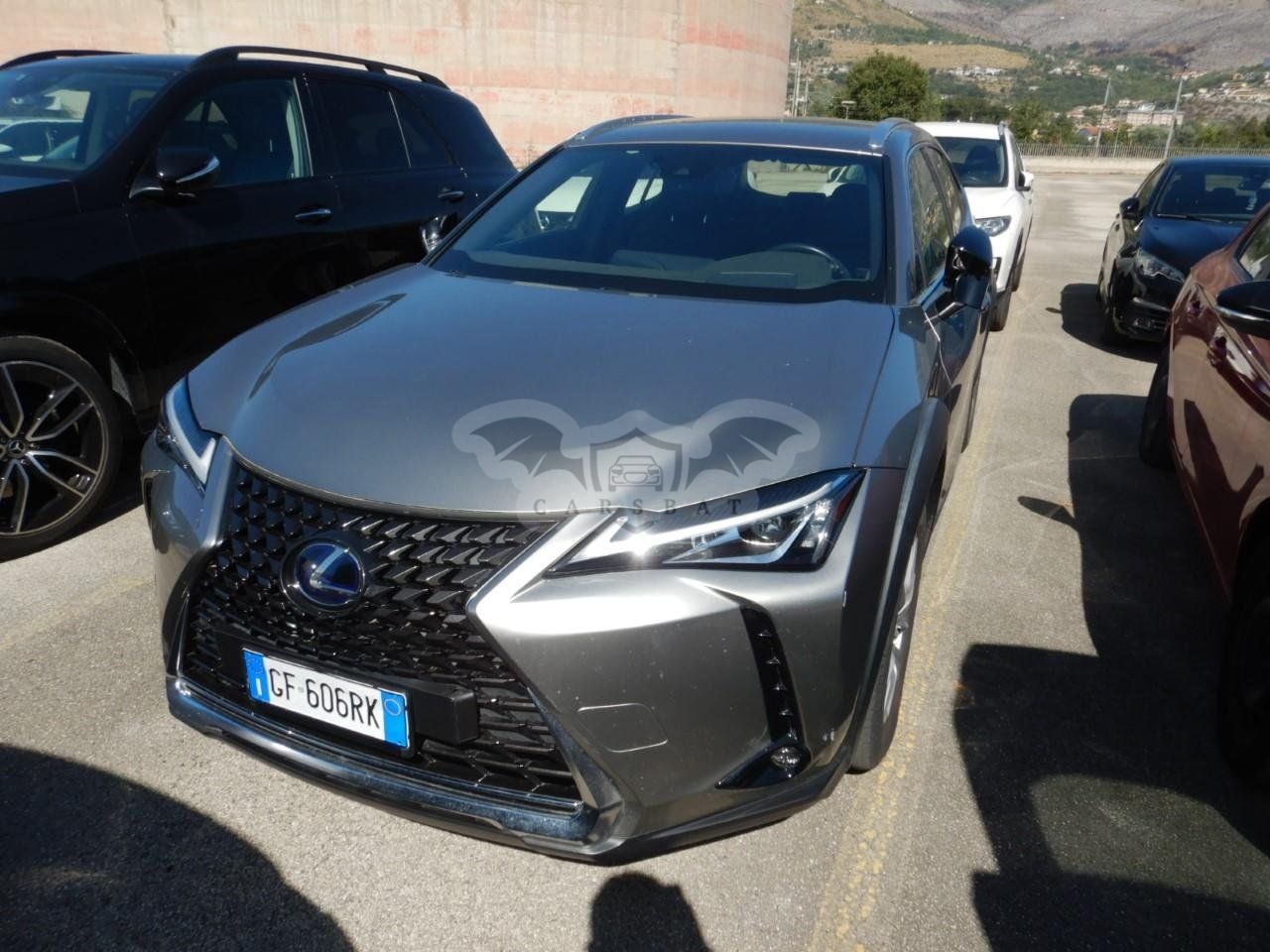 Lexus UX 250h Business 2021
