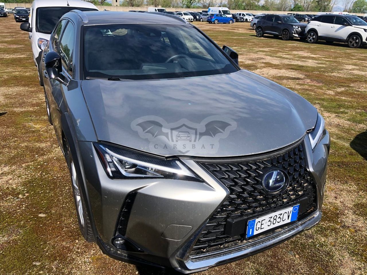 Lexus UX 250h Business 2021