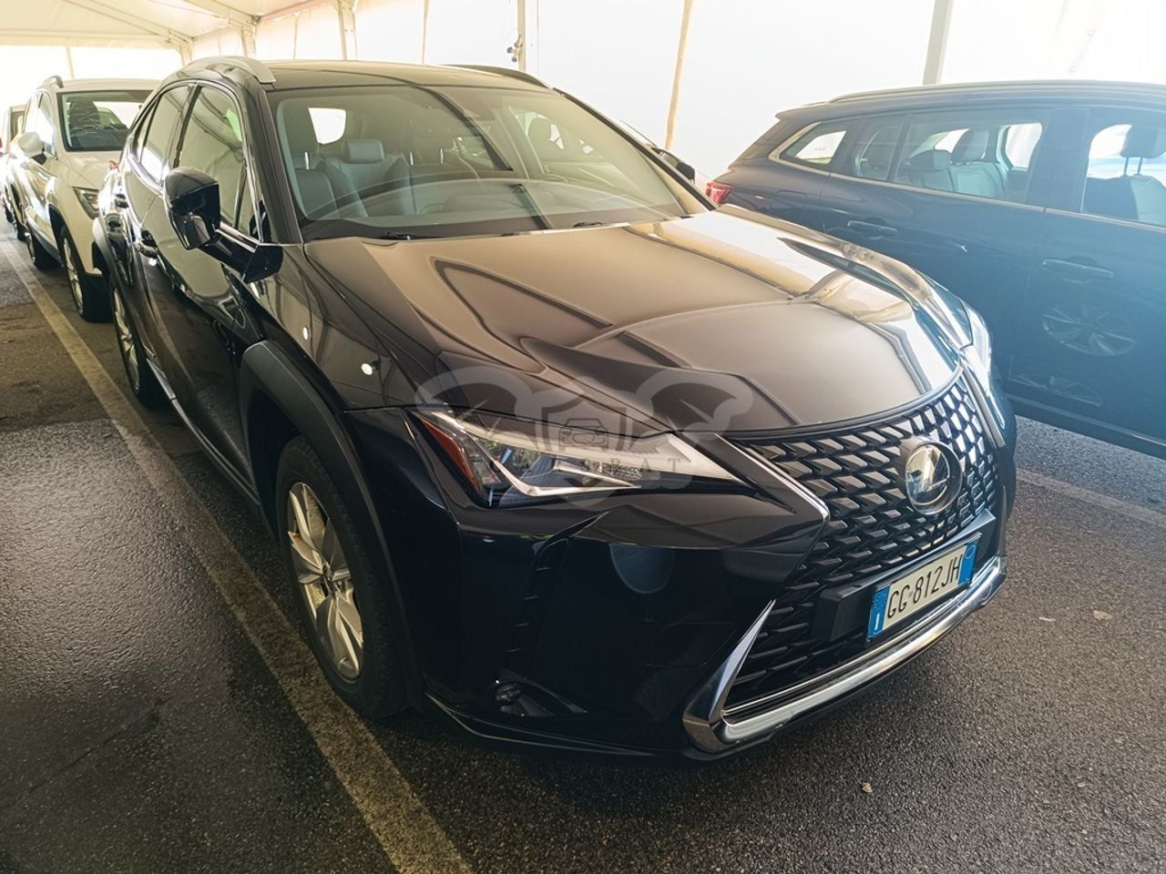 Lexus UX 250h Business 2021