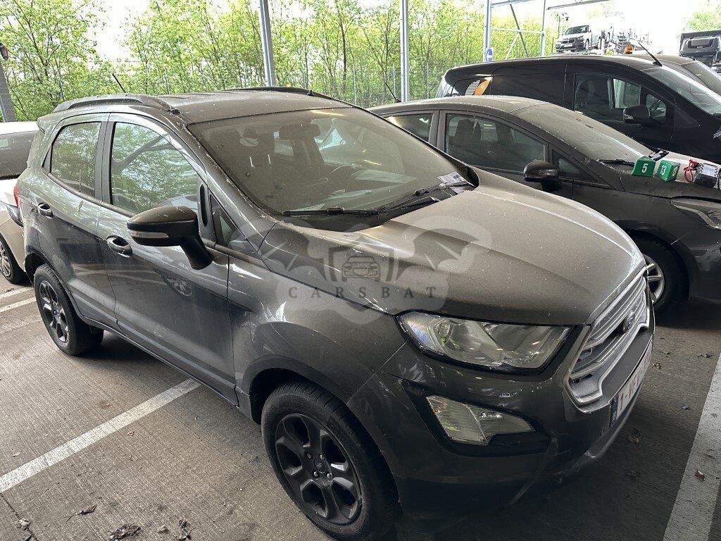 Ford Ecosport 1.0 EcoBoost Business 2018