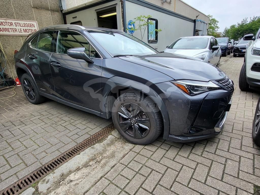 Lexus UX 250h Business 2022