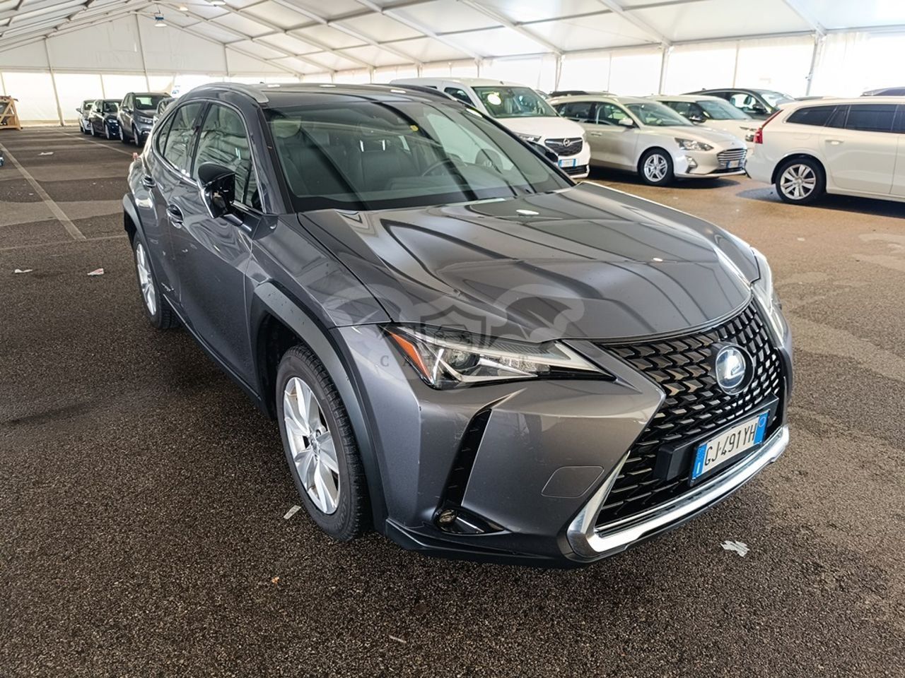 Lexus UX 250h Business 2022