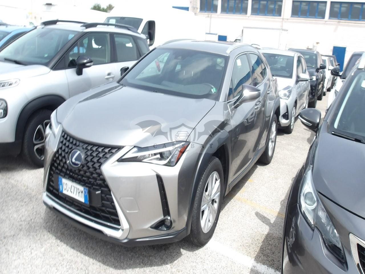 Lexus UX 250h Business 2021