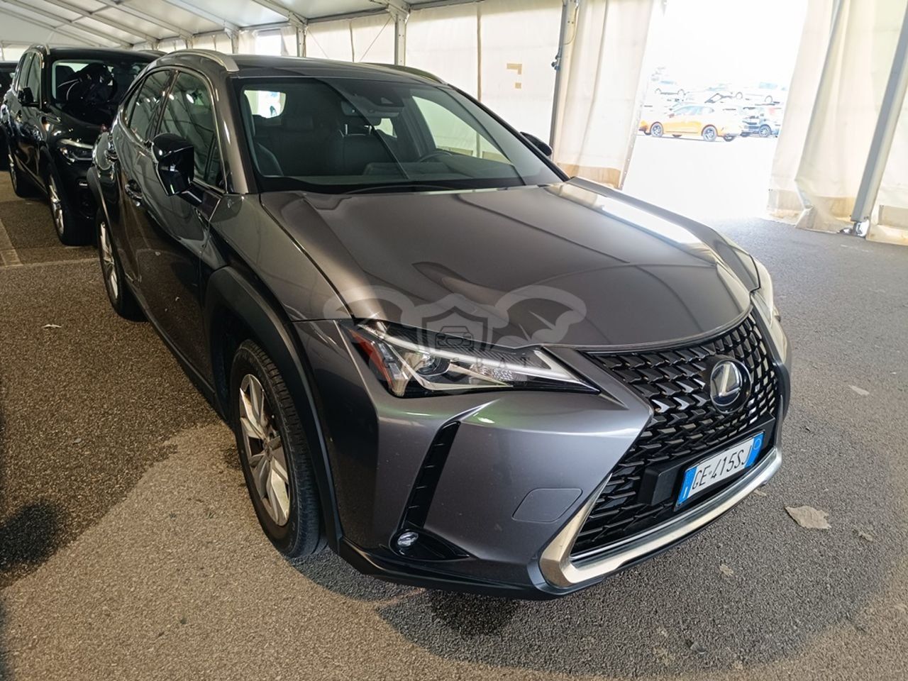 Lexus UX 250h Business 2021