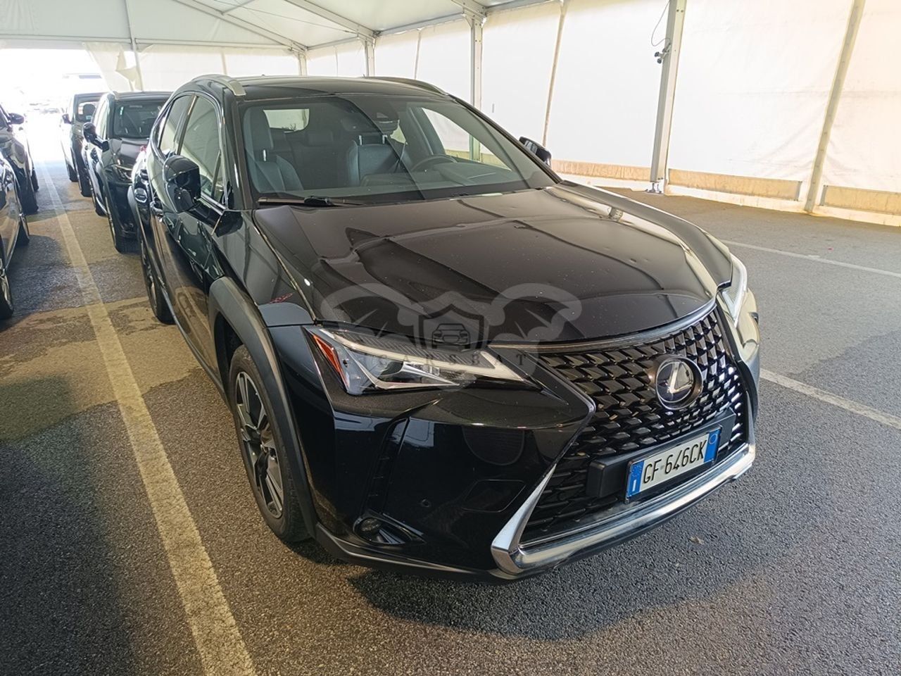 Lexus UX 250h 2021