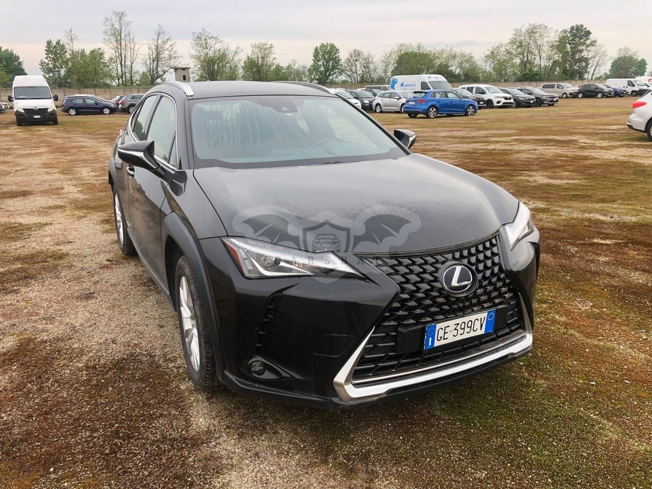 Lexus UX 250h Business 2021