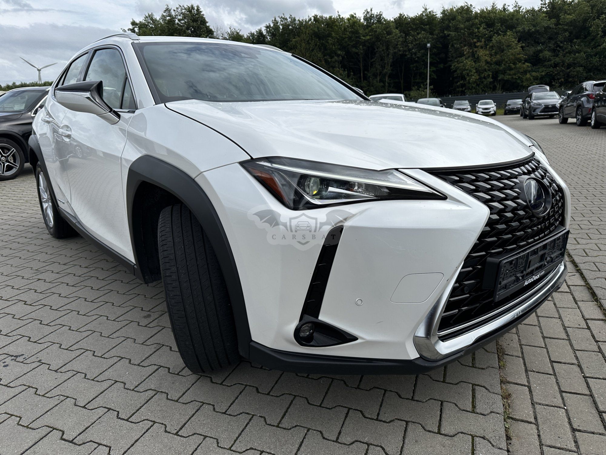 Lexus UX 250h Business 2020