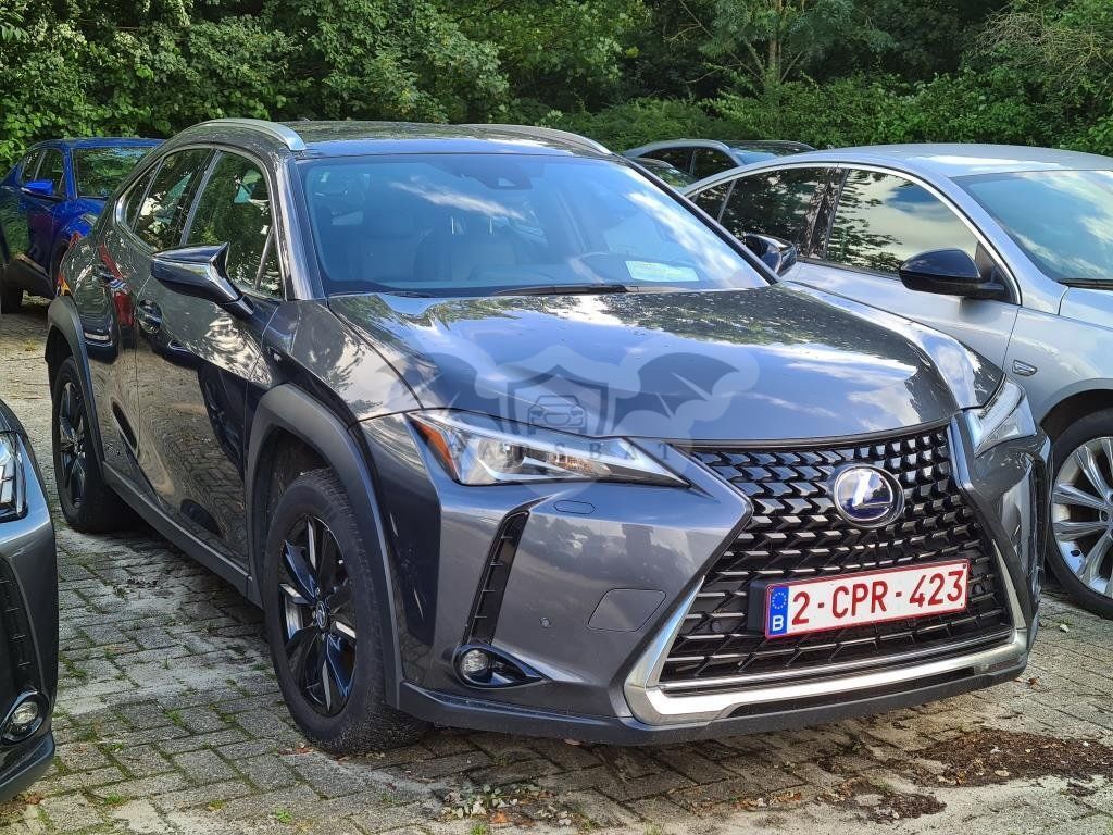 Lexus UX 250h Business 2022