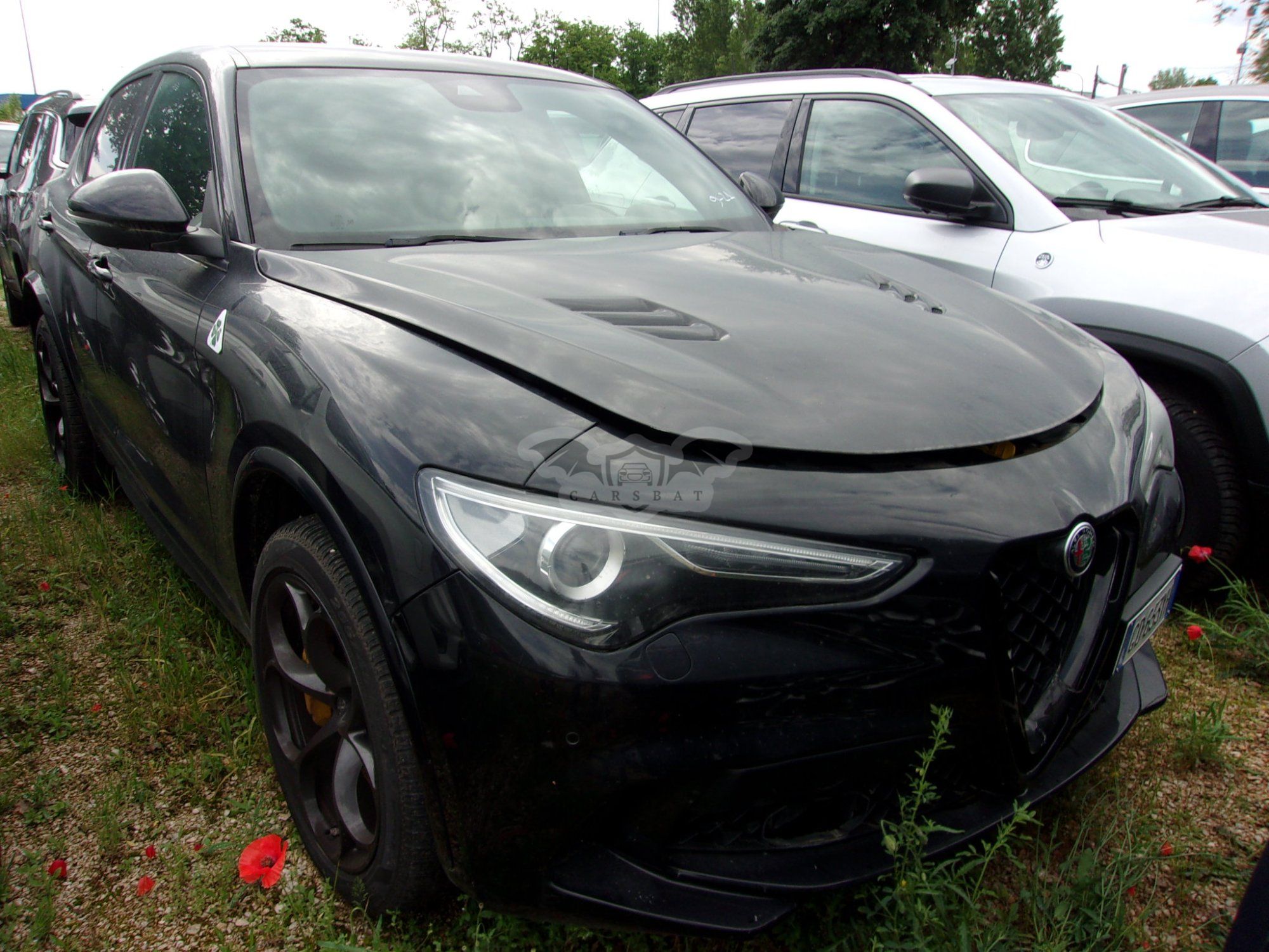 Alfa Romeo Stelvio 2.9 Quadrifoglio 2020
