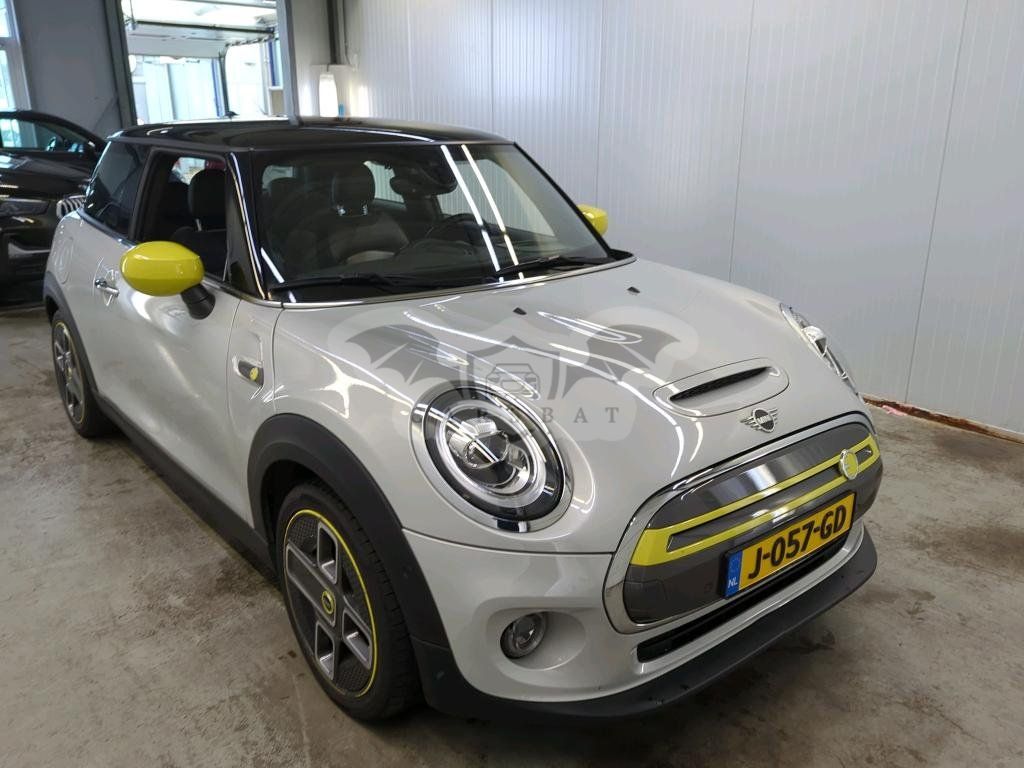 Mini Electric 2020