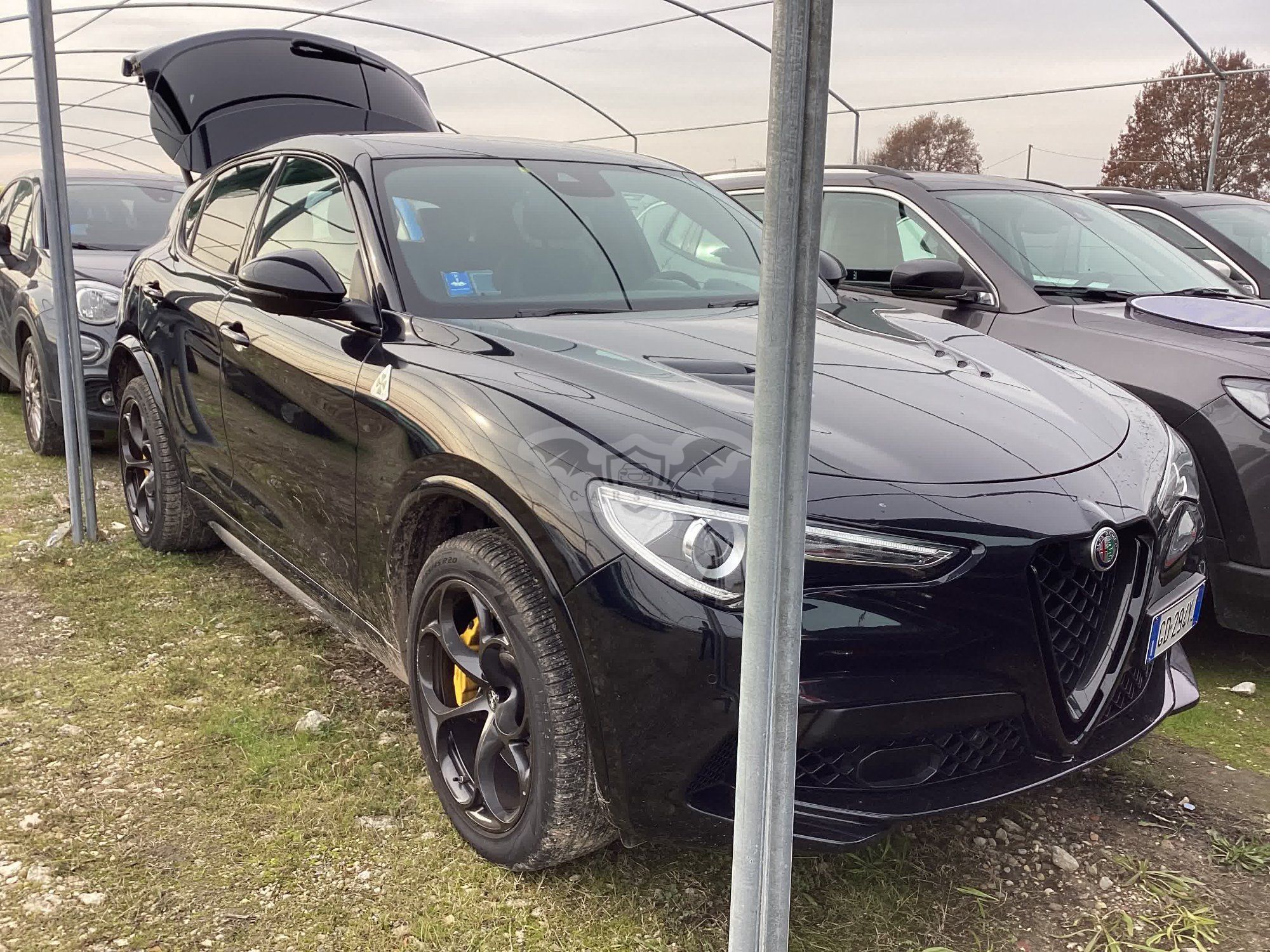 Alfa Romeo Stelvio 2.9 Quadrifoglio 2020