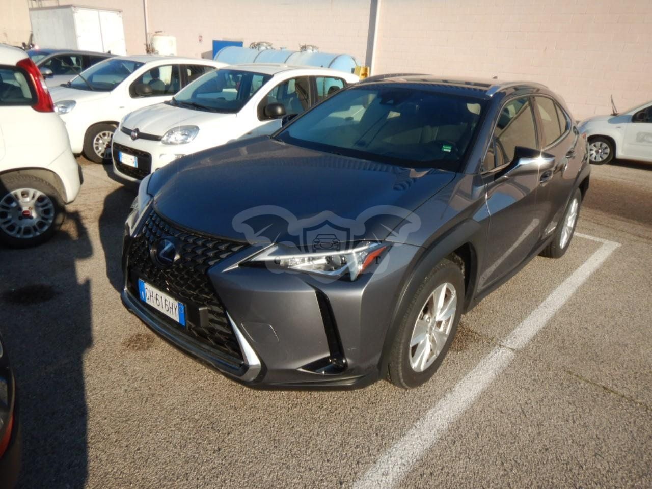 Lexus UX 250h Business 2021
