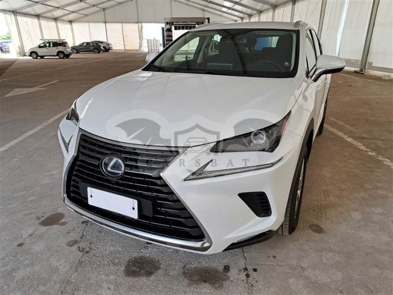 Lexus NX 300h Business 2019