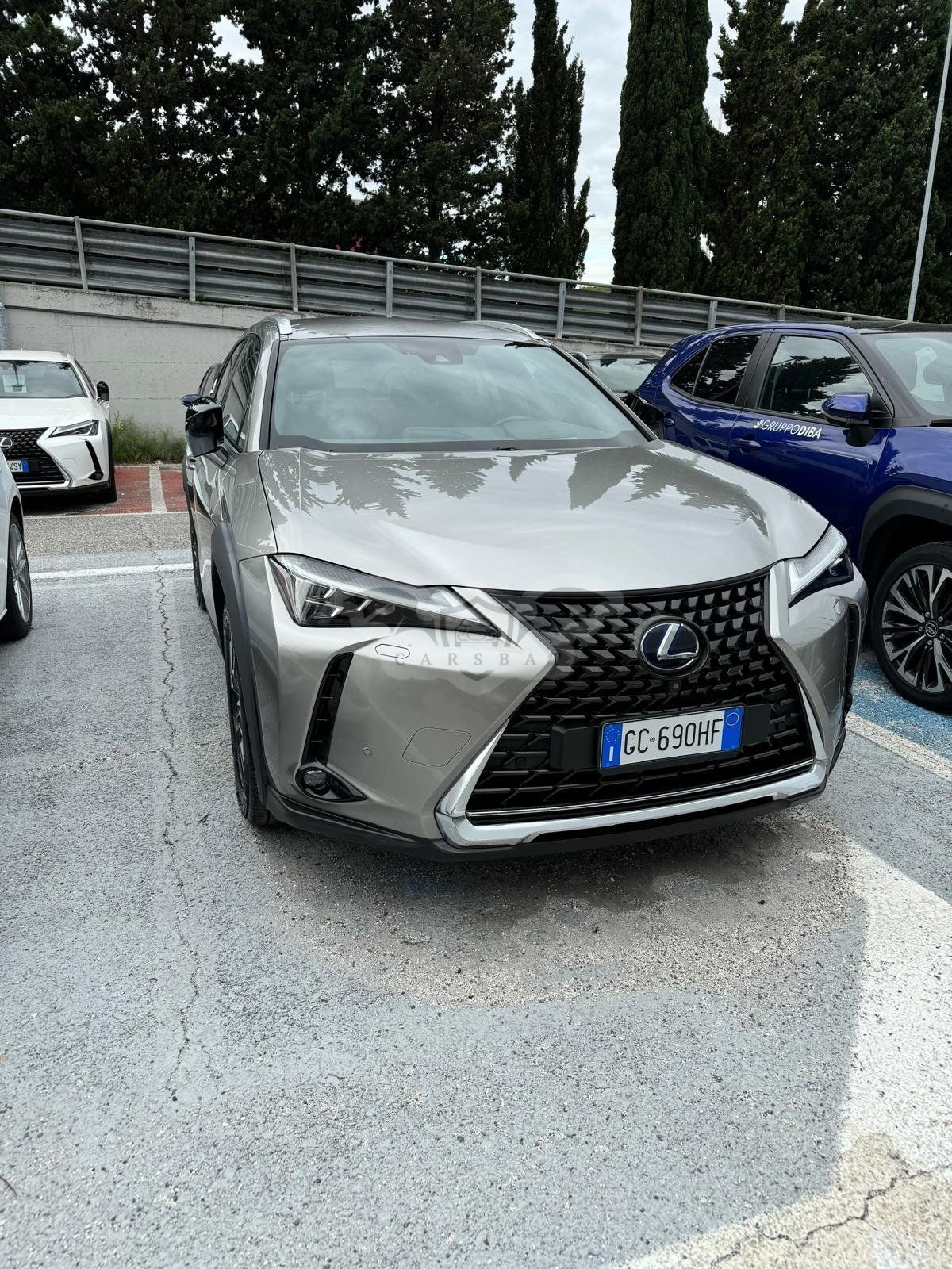 Lexus UX 250h Business 2020
