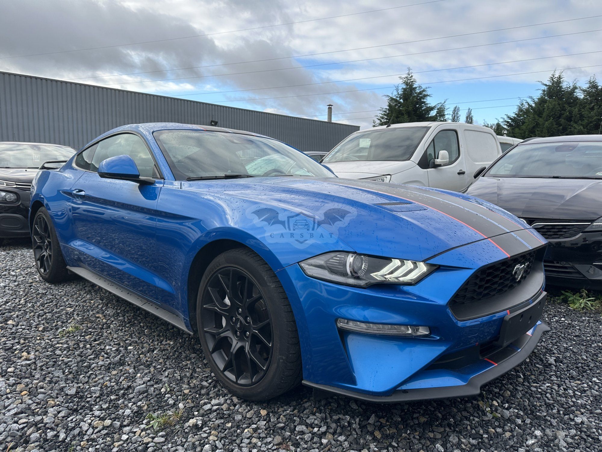 Ford Mustang 2.3 EcoBoost 2019