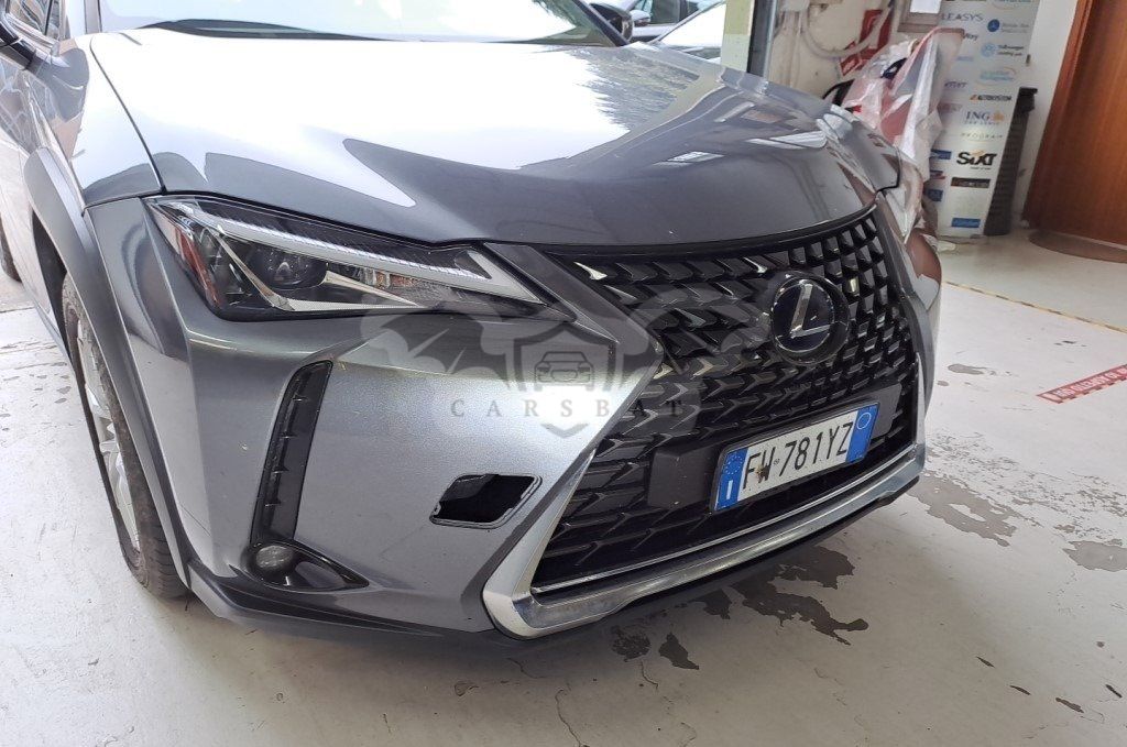 Lexus UX 250h Business 2019