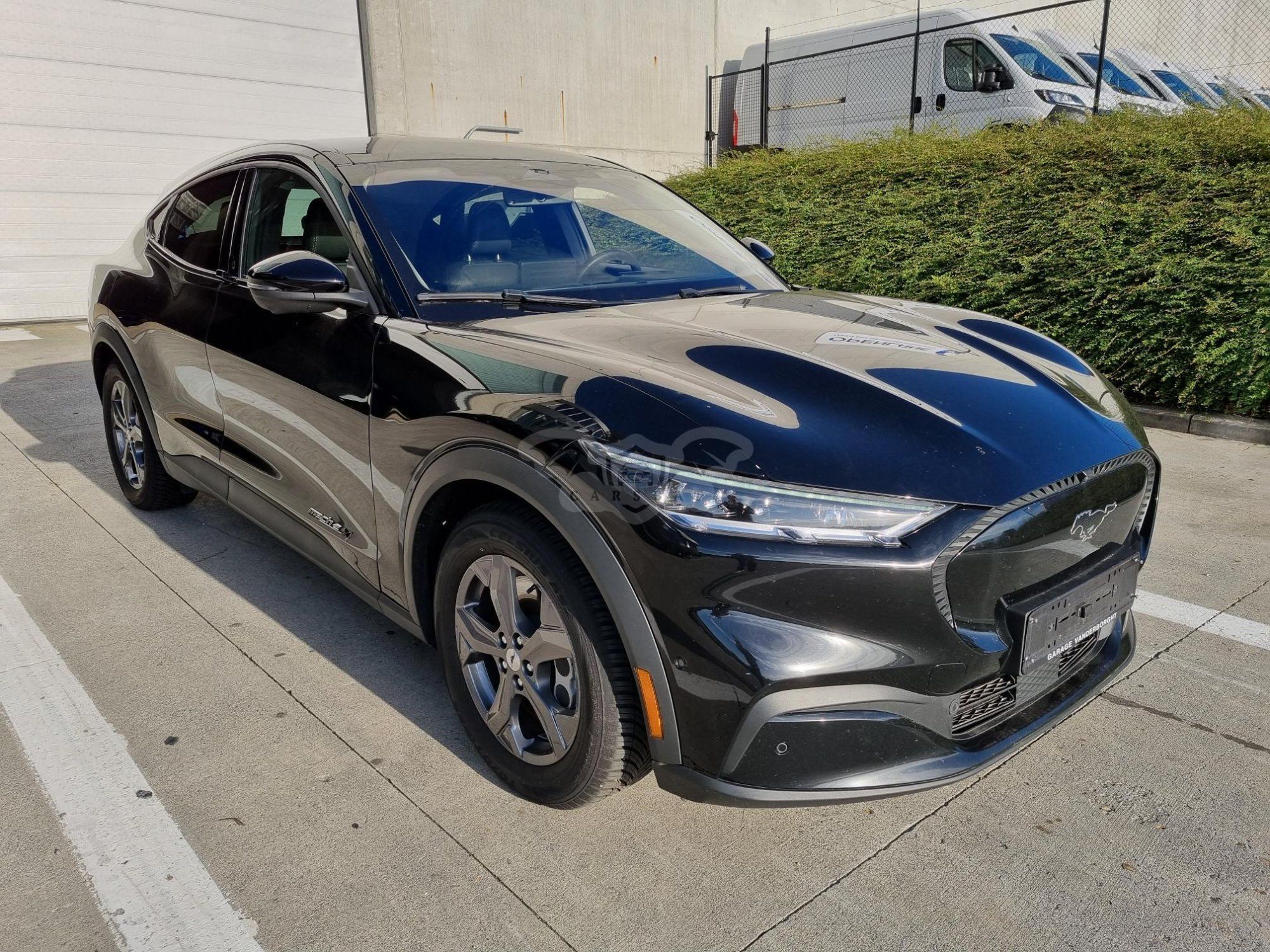 Ford Mustang Mach-E 2021