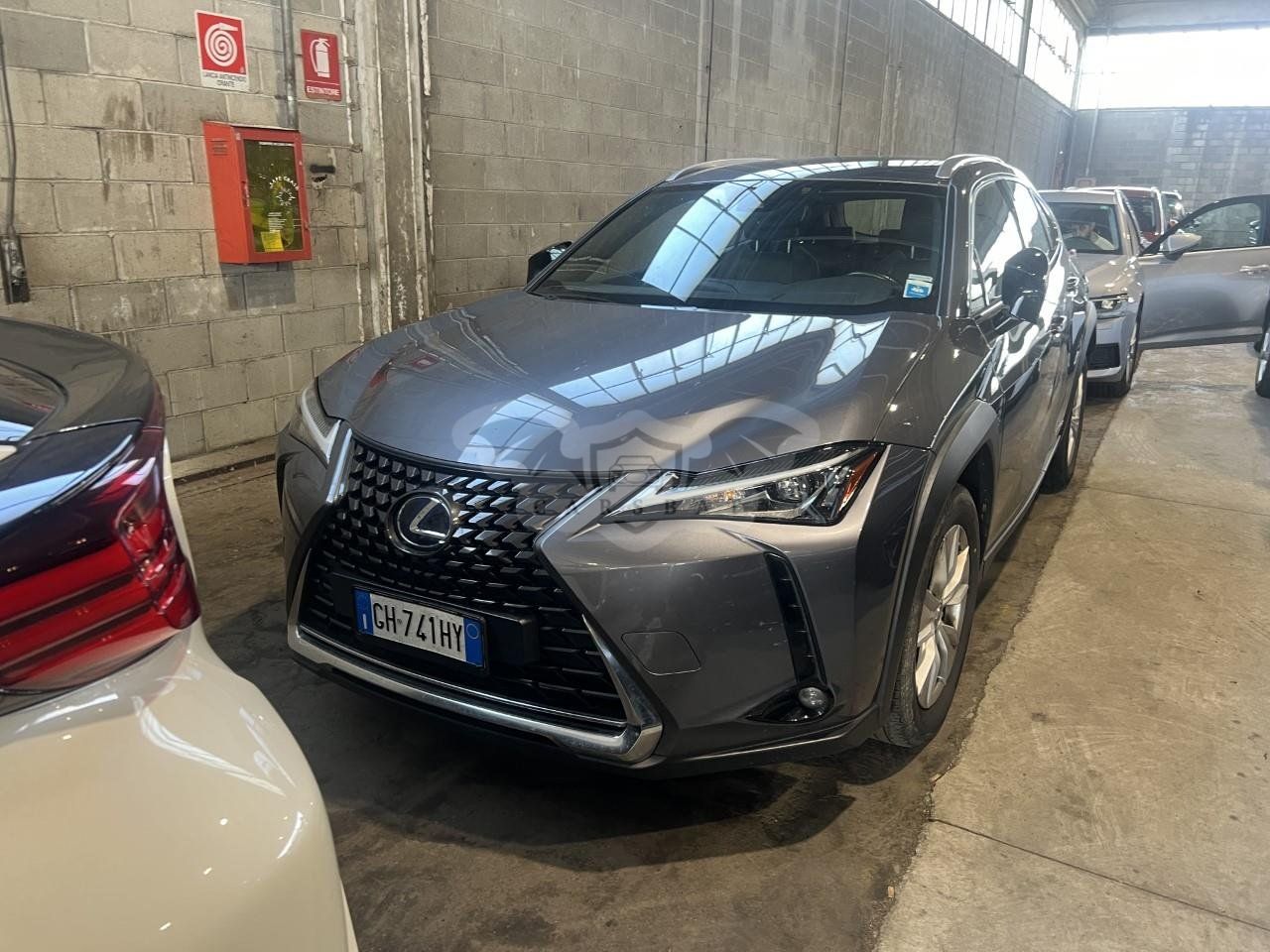 Lexus UX 250h Business 2021