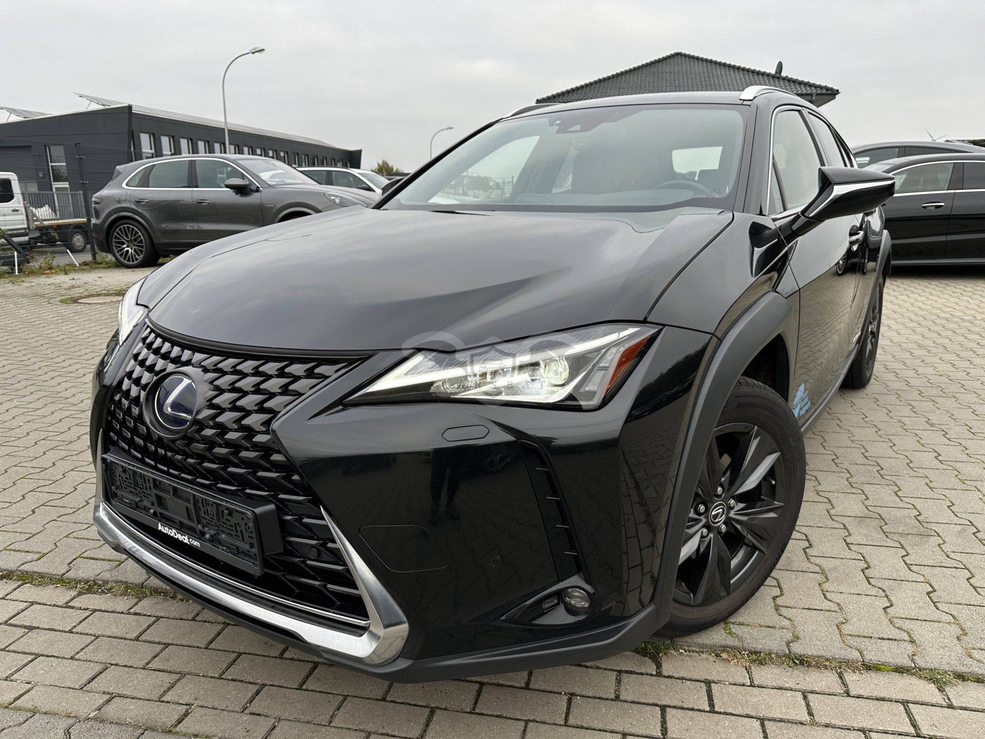 Lexus UX 250h Business 2019