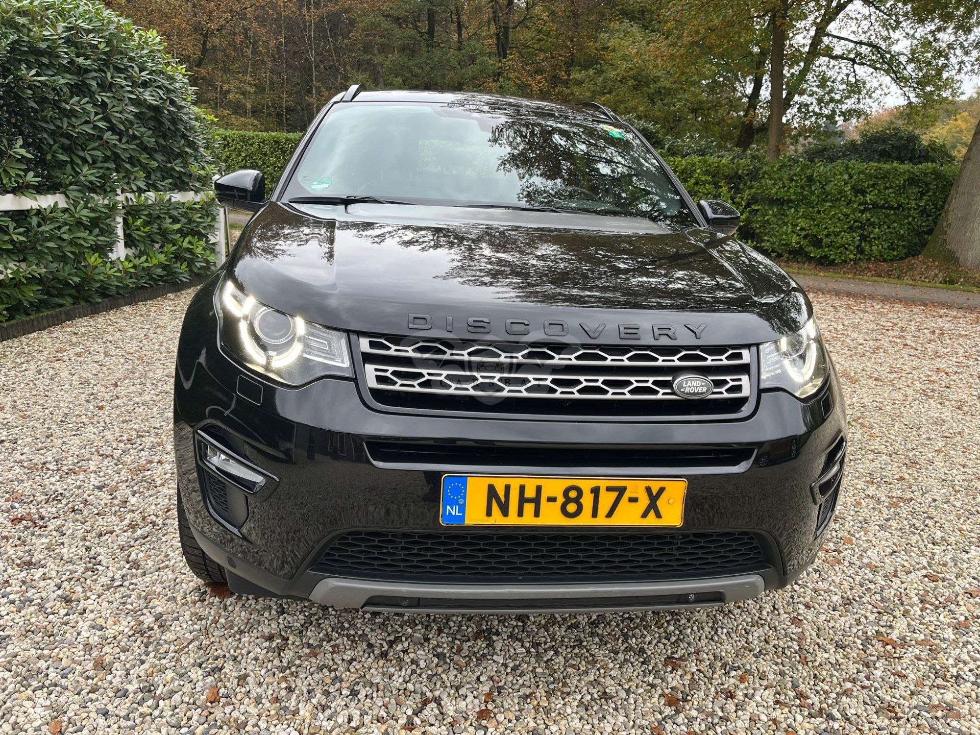 Land Rover Discovery Sport 2.0 eD4 Pure 2017