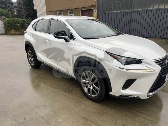 Lexus NX 300h Business 2019
