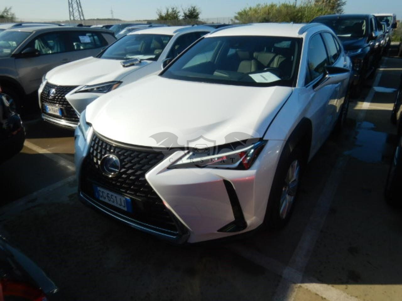 Lexus UX 250h Business 2021