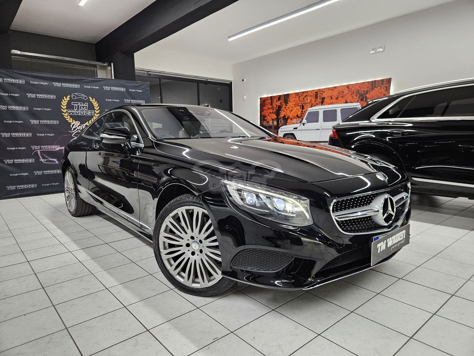 Mercedes-Benz S 500 2015