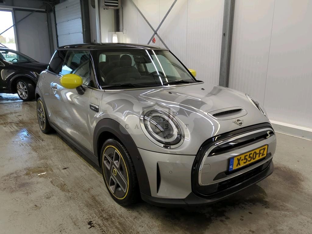 Mini Electric 2023