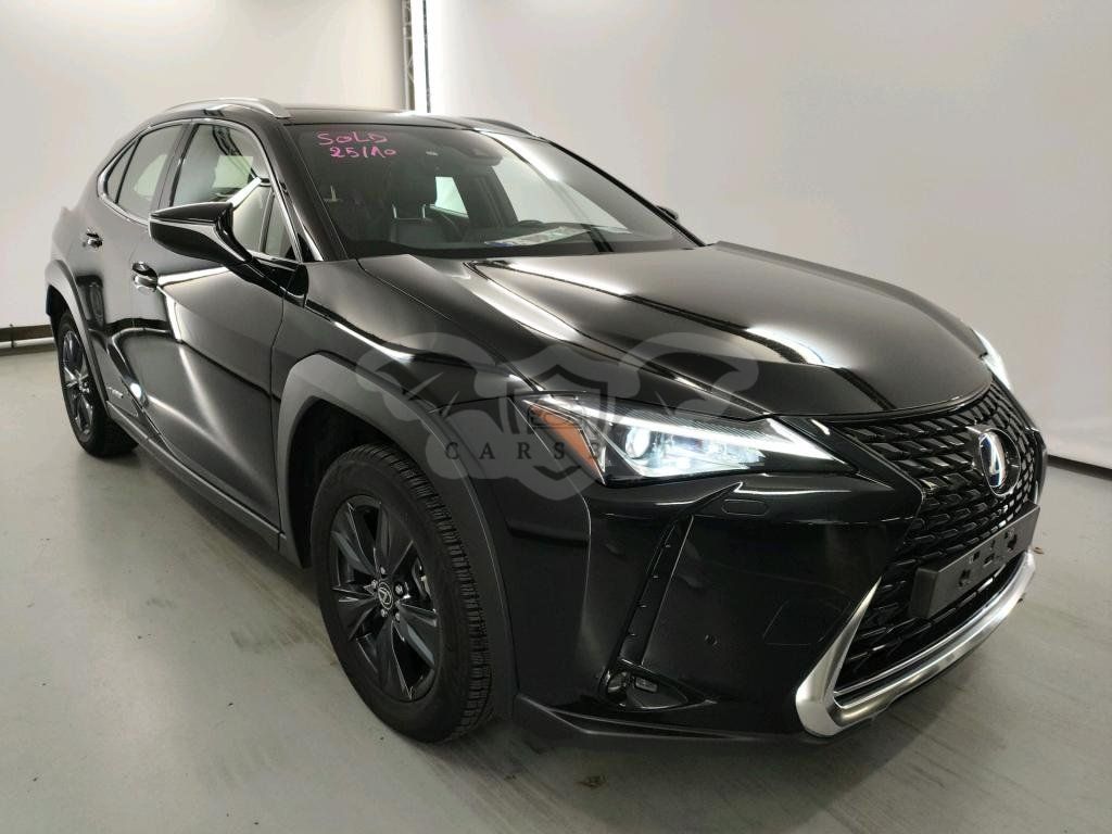 Lexus UX 250h Business 2021