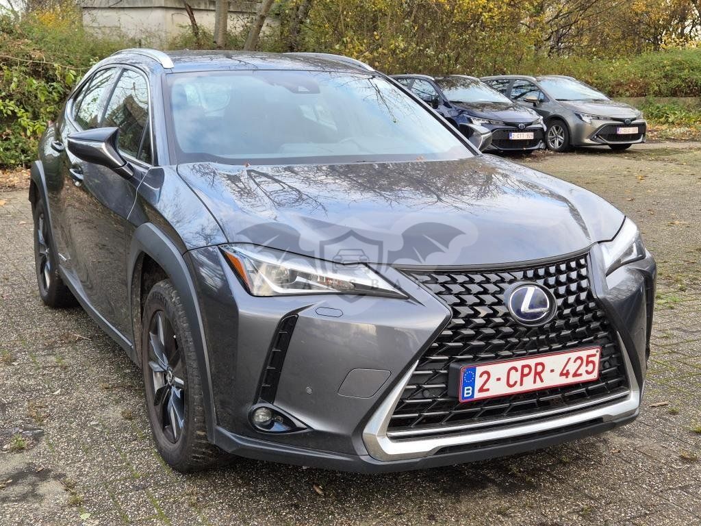 Lexus UX 250h Business 2022