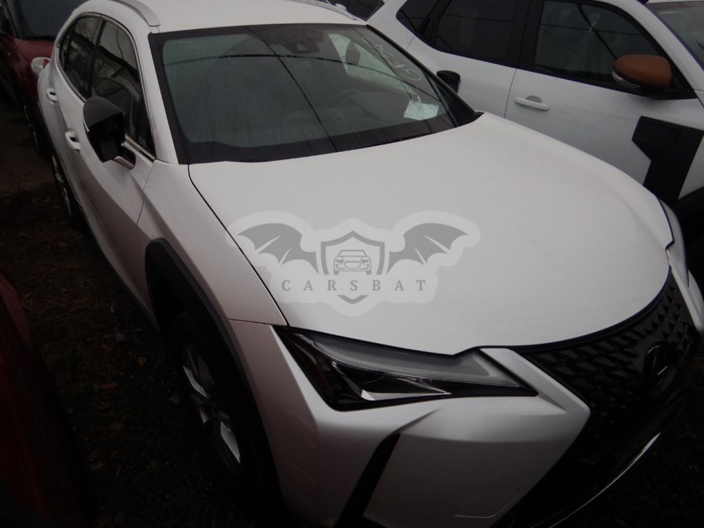 Lexus UX 250h Business 2021