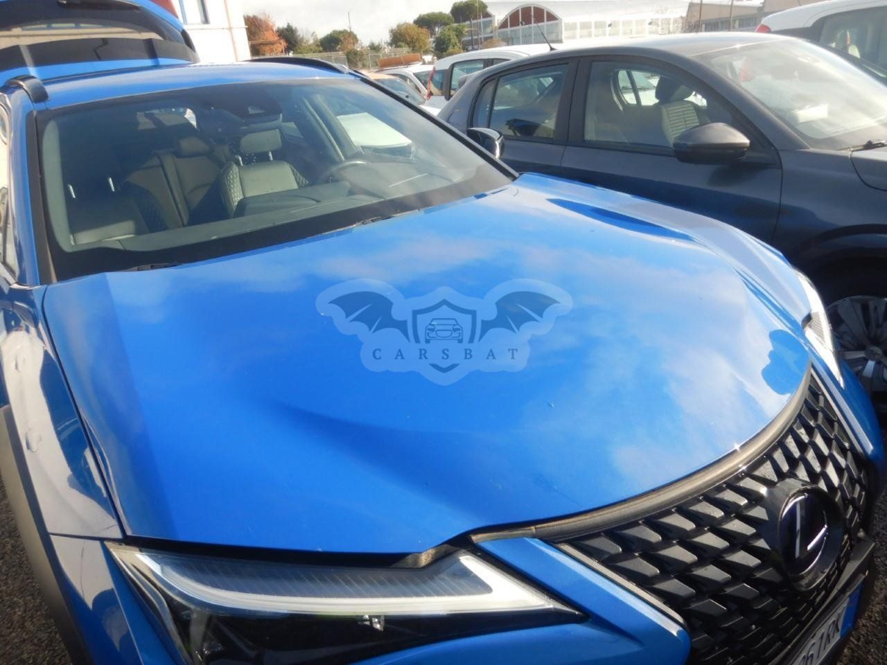 Lexus UX 250h 2021