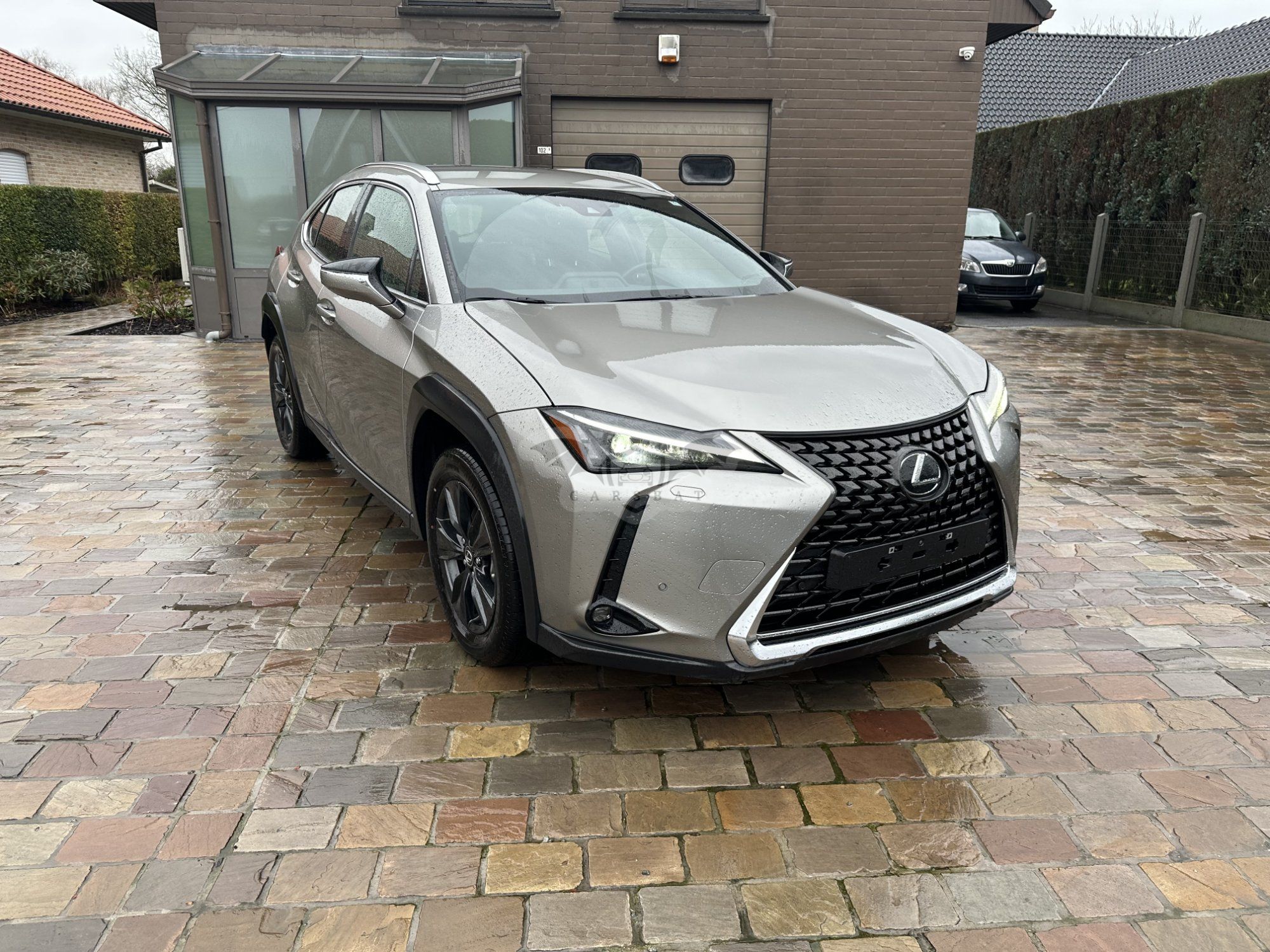 Lexus UX 250h 2023